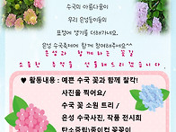 수국축제