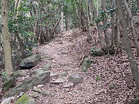 진도 첨찰산 운림산방