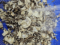 닭발과 우슬 그리고 뼈와 ..