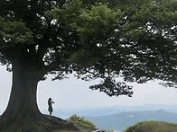 생각을 바꾸면 건강이보인다 