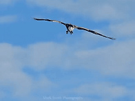 생각을 바꾸면 건강이보인다 