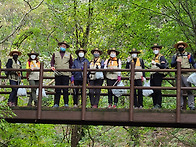 241차 10/3 토함..