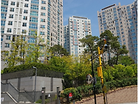 서울아파트경매 성동구 금..