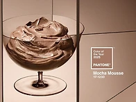 [PANTONE COLOR 【모카..