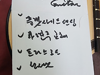 고퍼우드기타 플랫사이드샌..