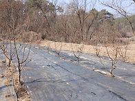 제초매트 깔았어요