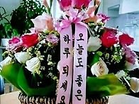 어버이날!