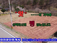 (급매 )이 곳이 ~~~~ "..