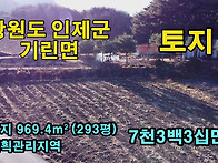 옛 정취와 거칠 것 없는 ..