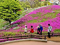 황매산