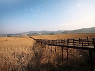 2026-11/21(토)충남서천 ..