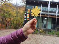 2026-10/17-18(토.일)..