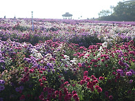 2025-10-01(수..