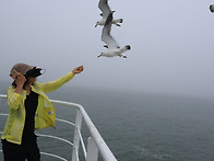 2026-08/08-09(토.일)..