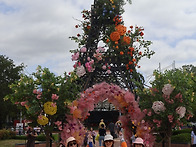 2026-05-31(일)전남 곡성..