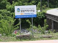 2024-08-24(토)경북 영양..