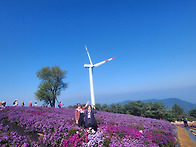 2025-09-30(화..