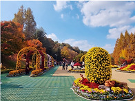 2026/10/27(화..