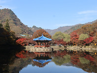 2026-11/04(수..