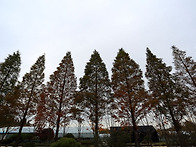 2026-11/26(목..