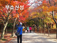 2026-11/24(화..