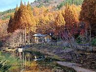 2026-11/22(일) 충남논산..