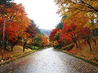 2025-10-26(일)당일 충북..