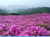 2025-05-10(토)- 봄꽃향..