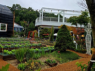 멈추면, 비로서 ..