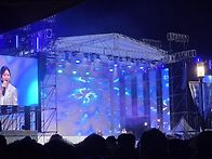 부여 백제문화제 - 포행 ..