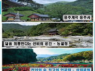 제2611차 산사야 여행가자..
