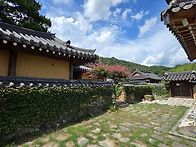 산청 남사예담촌 - 포행 ..