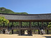 제2605차 산사야 여행가자..