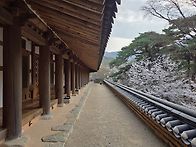 칠성기도 순례 - 산사 3..