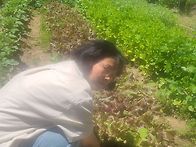 텃밭가꾸기