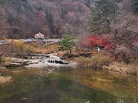 영진항과 소금강 그리고 ..
