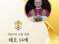 새 교황님