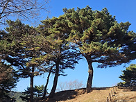 남한산성 환종주 2 (202..