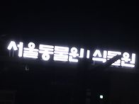 2026.04.01 서울랜드 걷기