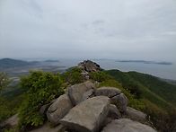 부처님 오신날