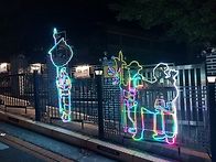 별밤 야행