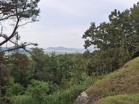 동네 한바퀴