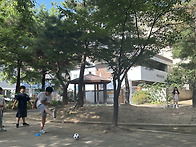 26년 6월 26일(금) &#..