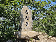 2026년 08월 15..