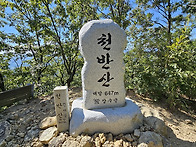 2025년 05월 17..