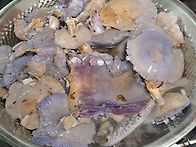 2025 10. 26 양평 소리산