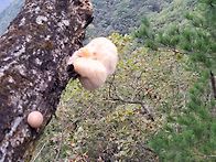 2025 10 03 춘천 용화산