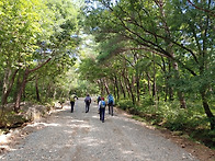 금정산(金井山)사..