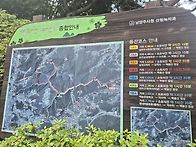 5/18일 오케이대장님 리딩..