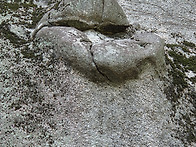 260422 북한산 요모조모